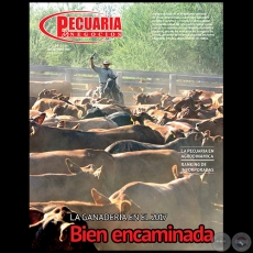 PECUARIA & NEGOCIOS - AO 14 NMERO 161 - REVISTA DICIEMBRE 2017 - PARAGUAY